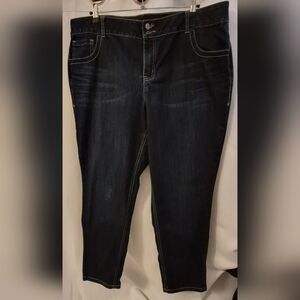 Lane Bryant Dark Wash Skinny Jeans